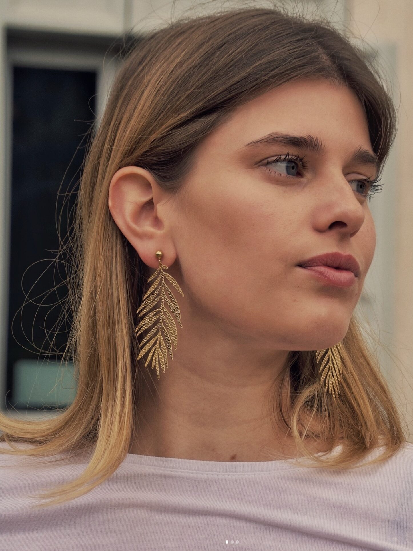 fluxe1